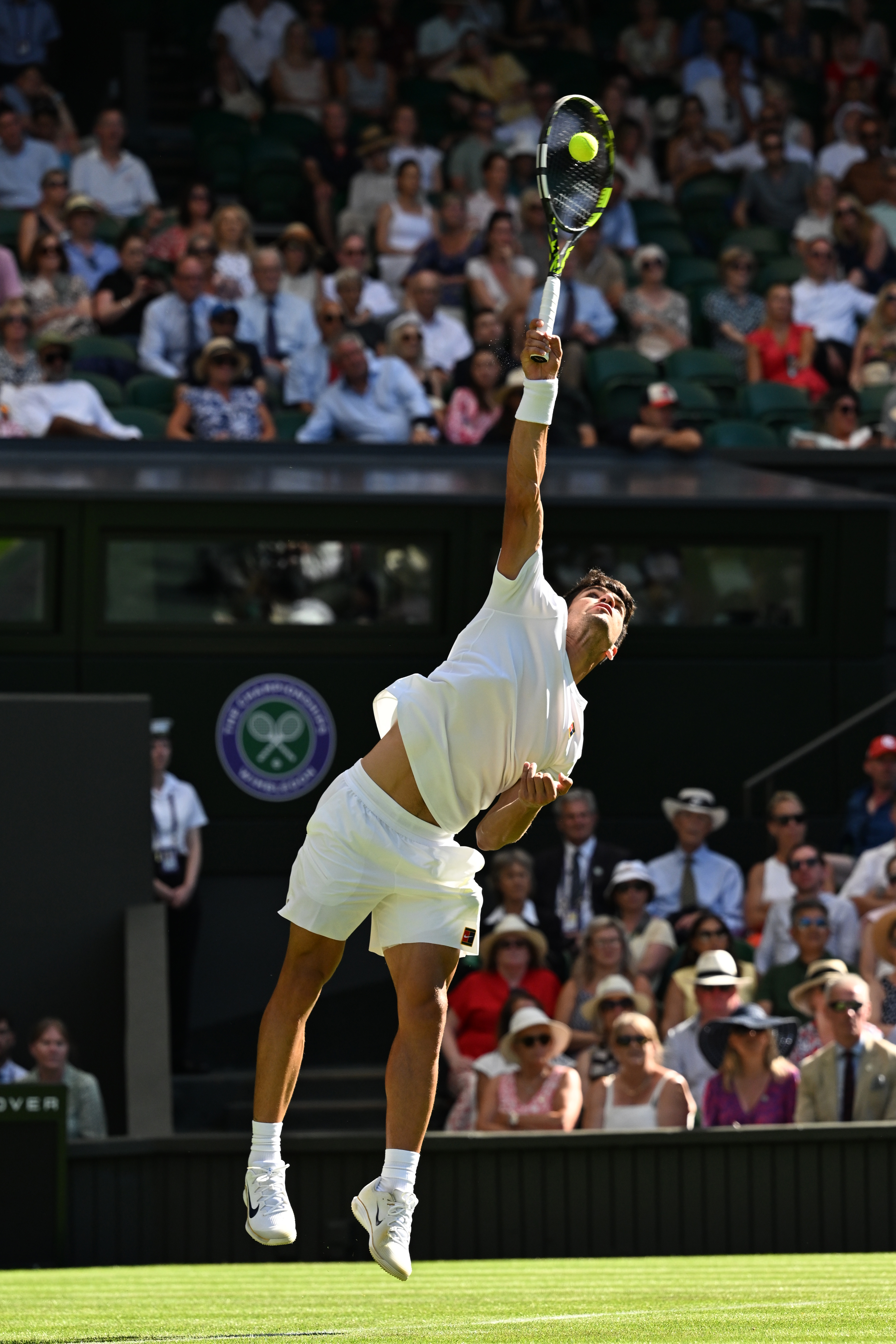 戴维斯杯碾压温网，阿尔卡拉斯惊艳四座的简单介绍