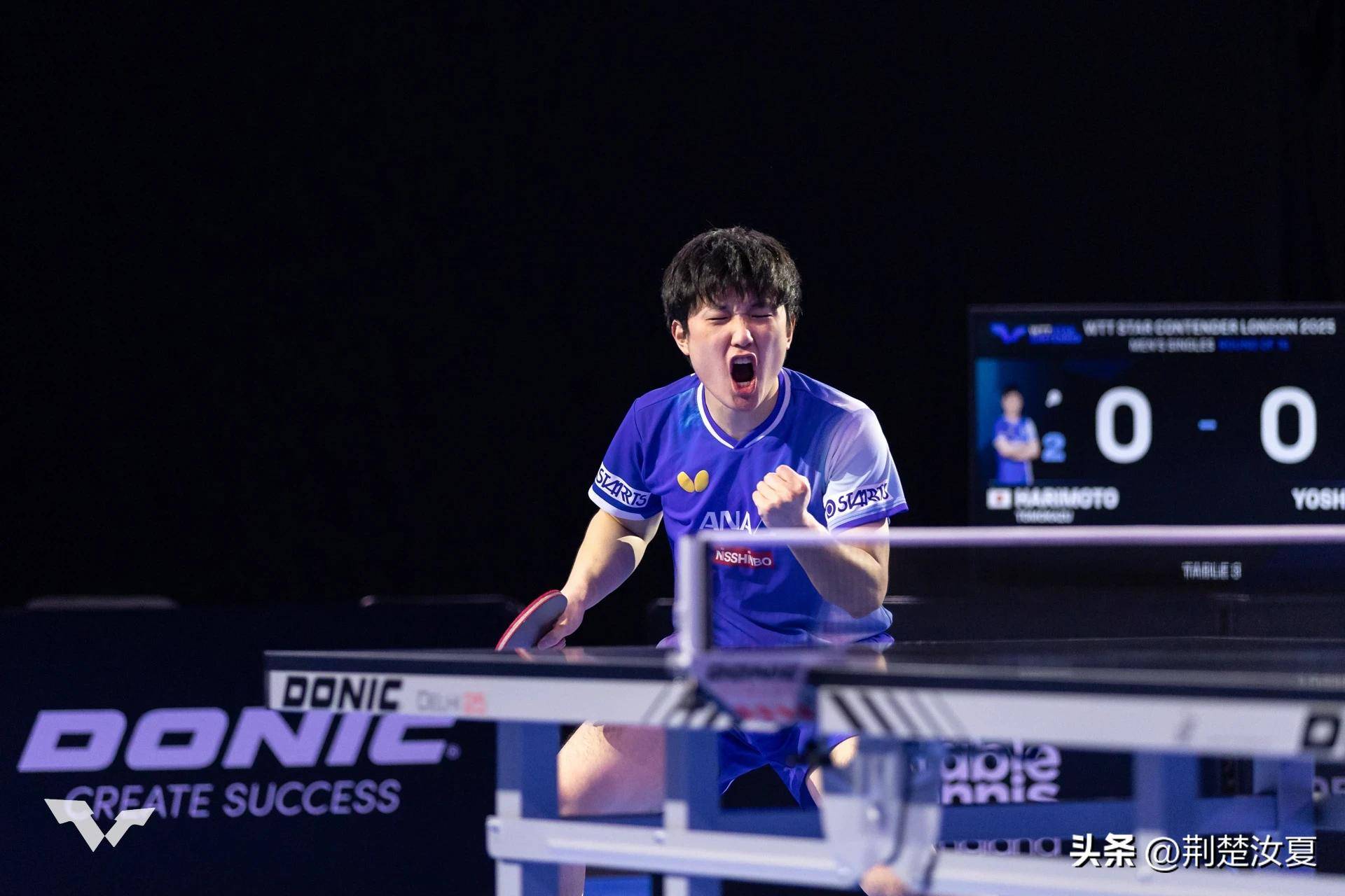 开云-关于波兰队绝杀葡萄牙队，张本智和点燃赛场的信息